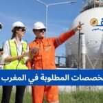 أكثر التخصصات المطلوبة في المغرب 2026